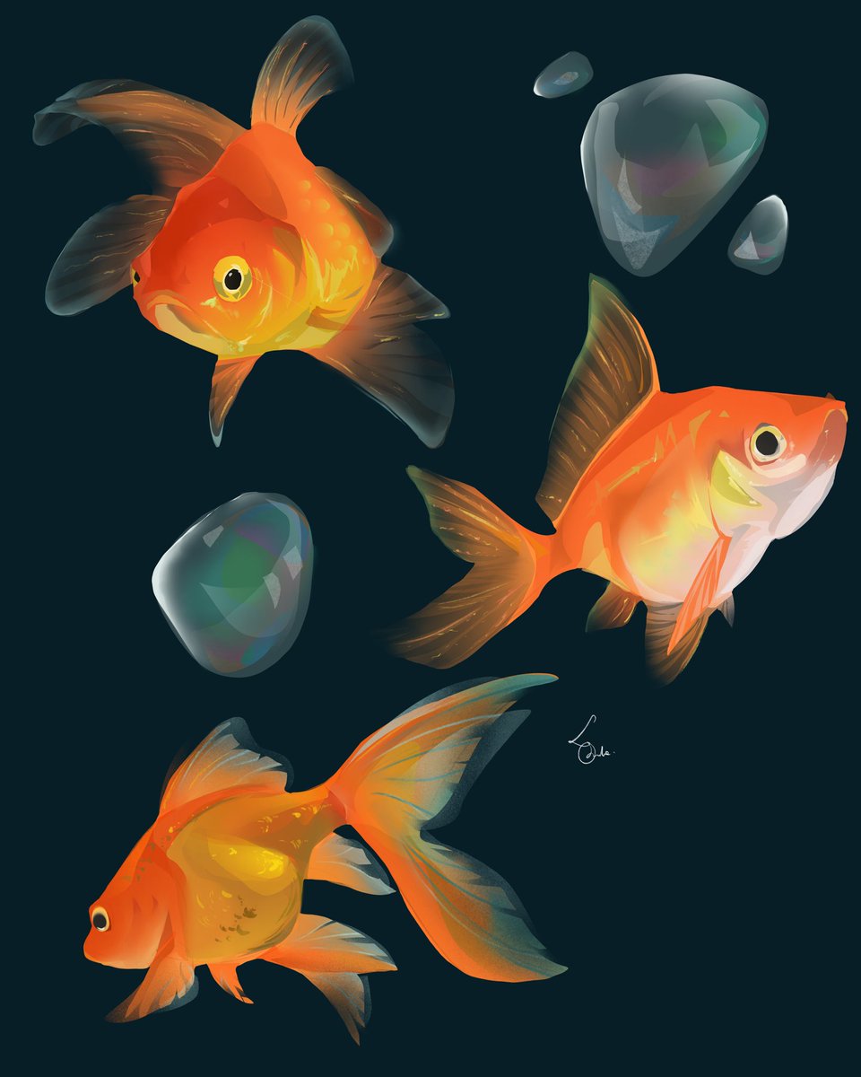 Daniel Obuté🎙️ tweet media