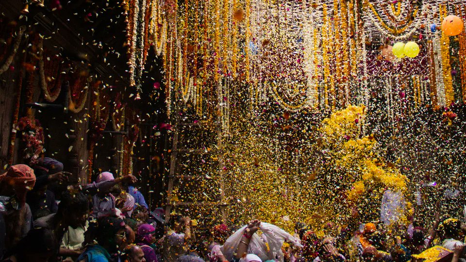 >Different regions,but the same spirit and colours of spring.🫟🌸🌻 
1)Lathmar Holi, Barsana
2)Sangla ,Himachal 
3) Yaoshang Holi, Manipur 
4)Phoolon Holi, Mathura