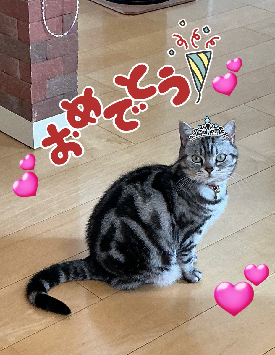 チェス tweet media