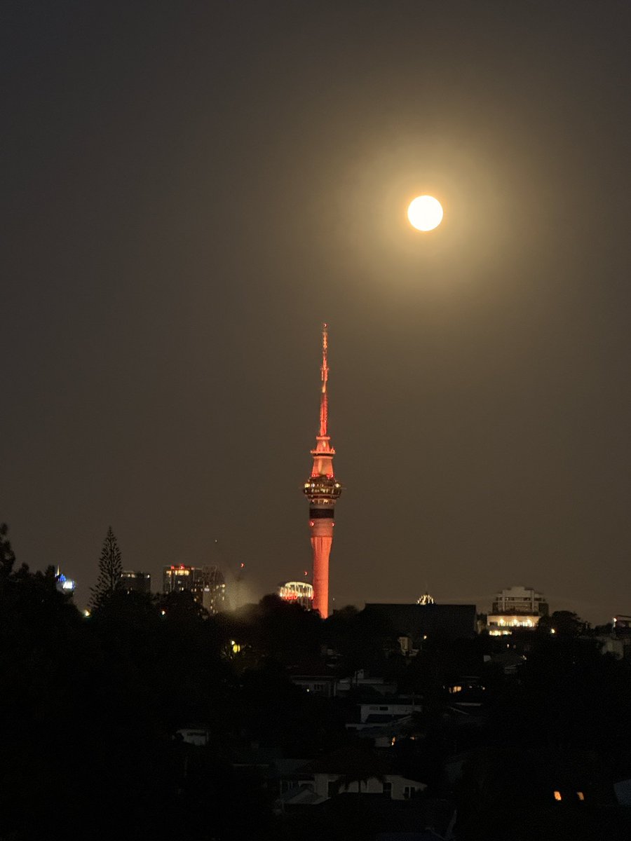 kira140's tweet photo. 昨日の皆既月食を息子に撮ってもらった
（左の写真）
右はまだ早い時間の🌕
私の携帯で撮ってるからイマイチだけど😆

#皆既月食2026 #NZ #皆既月食 https://t.co/BEYpeGHw7L