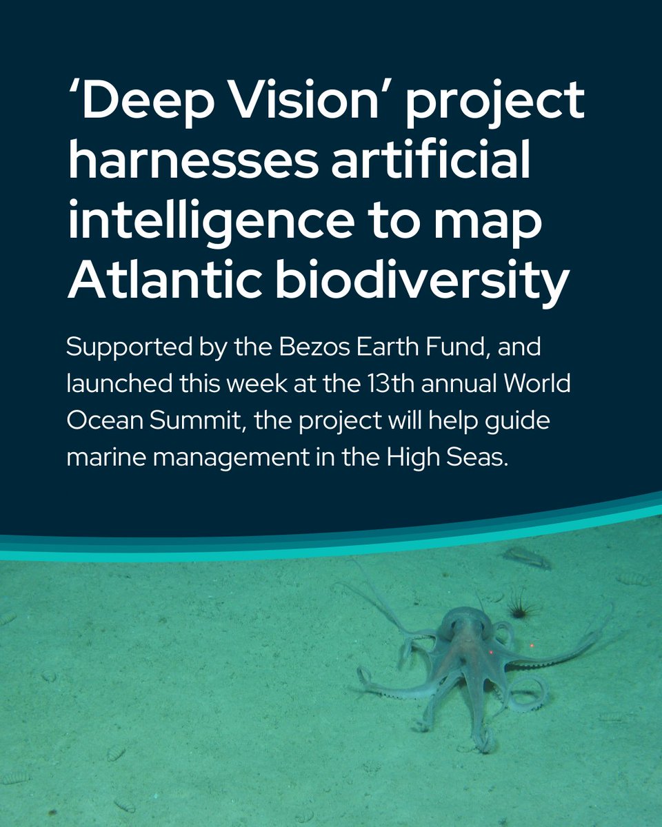 PlymouthMarine's tweet photo. 📢Launched today at the @EconomistImpact's #WorldOceanSummit 🌊

Scientists are creating comprehensive maps of #VulnerableMarineEcosystems (#VMEs) across the #AtlanticOcean - using #AI to unlock decades of unexplored #DeepSea imagery: 🔗https://t.co/1OjqINrL9I https://t.co/BY1a4ZpzUv