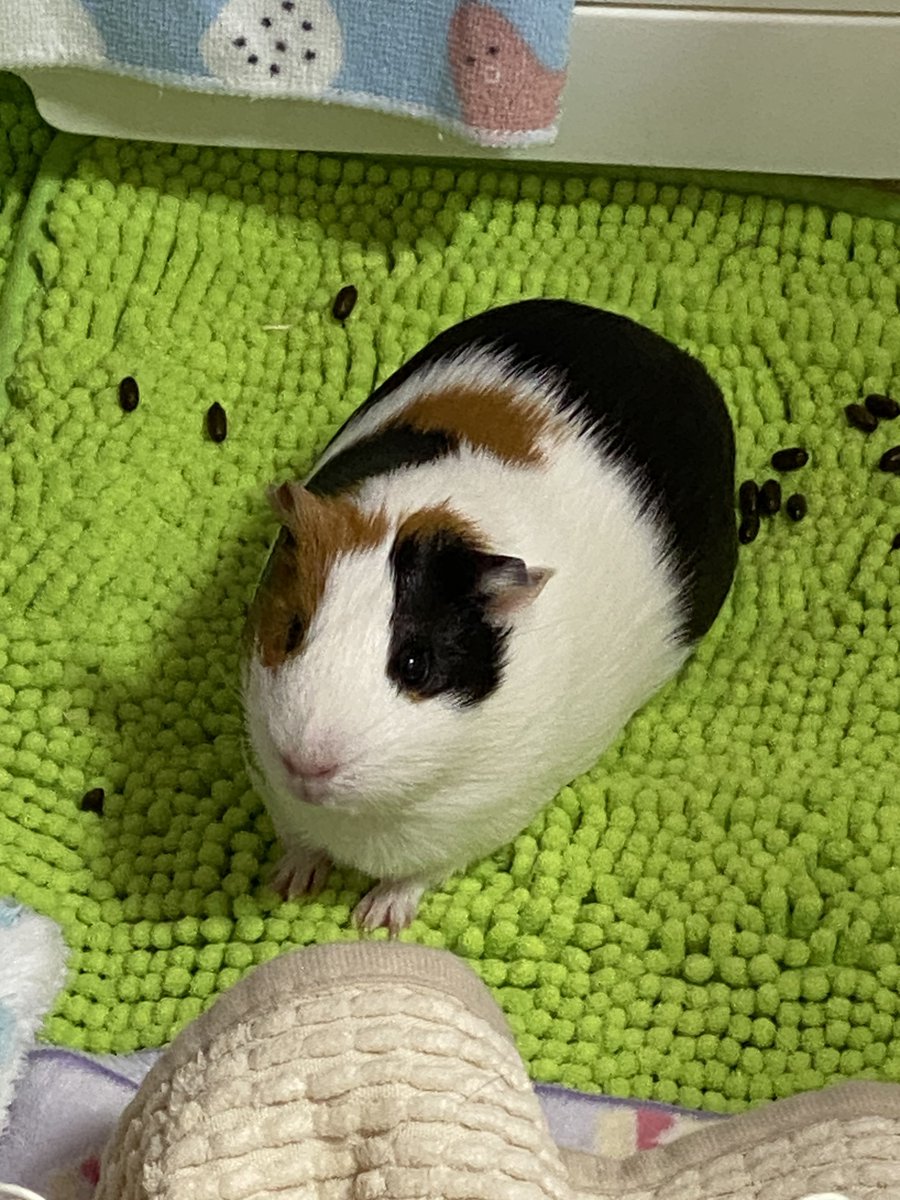 自分が気に入ってる写真を1枚選んで無言で貼る