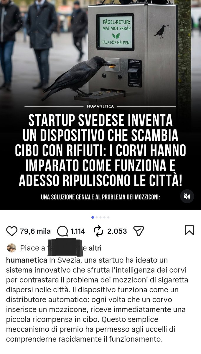 È un esperimento pilota, ma data l'intelligenza dei corvi può riuscire (Guardian)