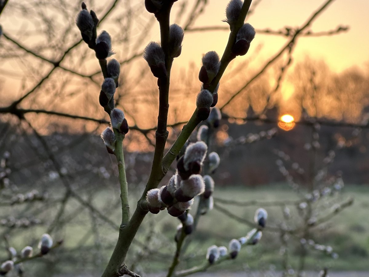 Jay Up North tweet media