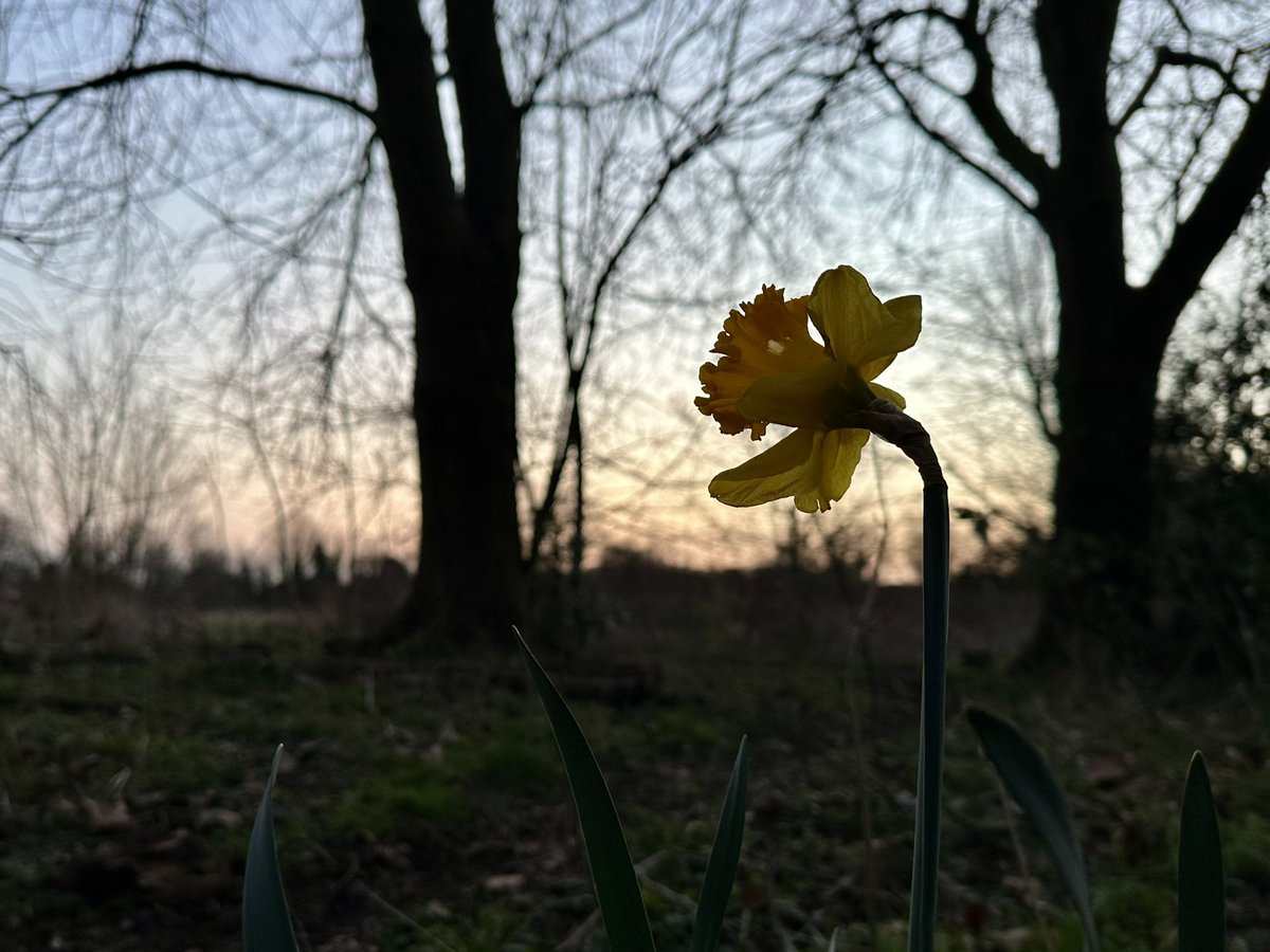 Jay Up North tweet media