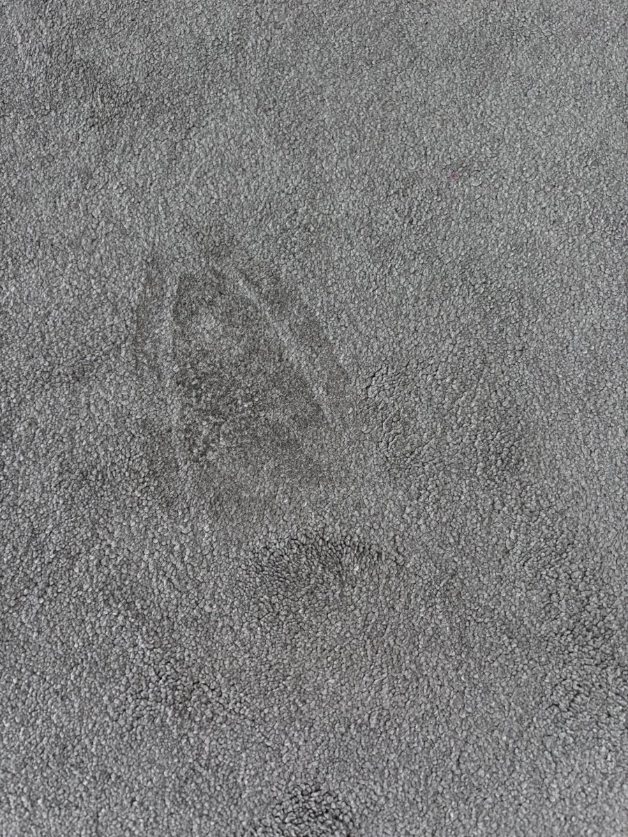 Ben Peyton tweet media