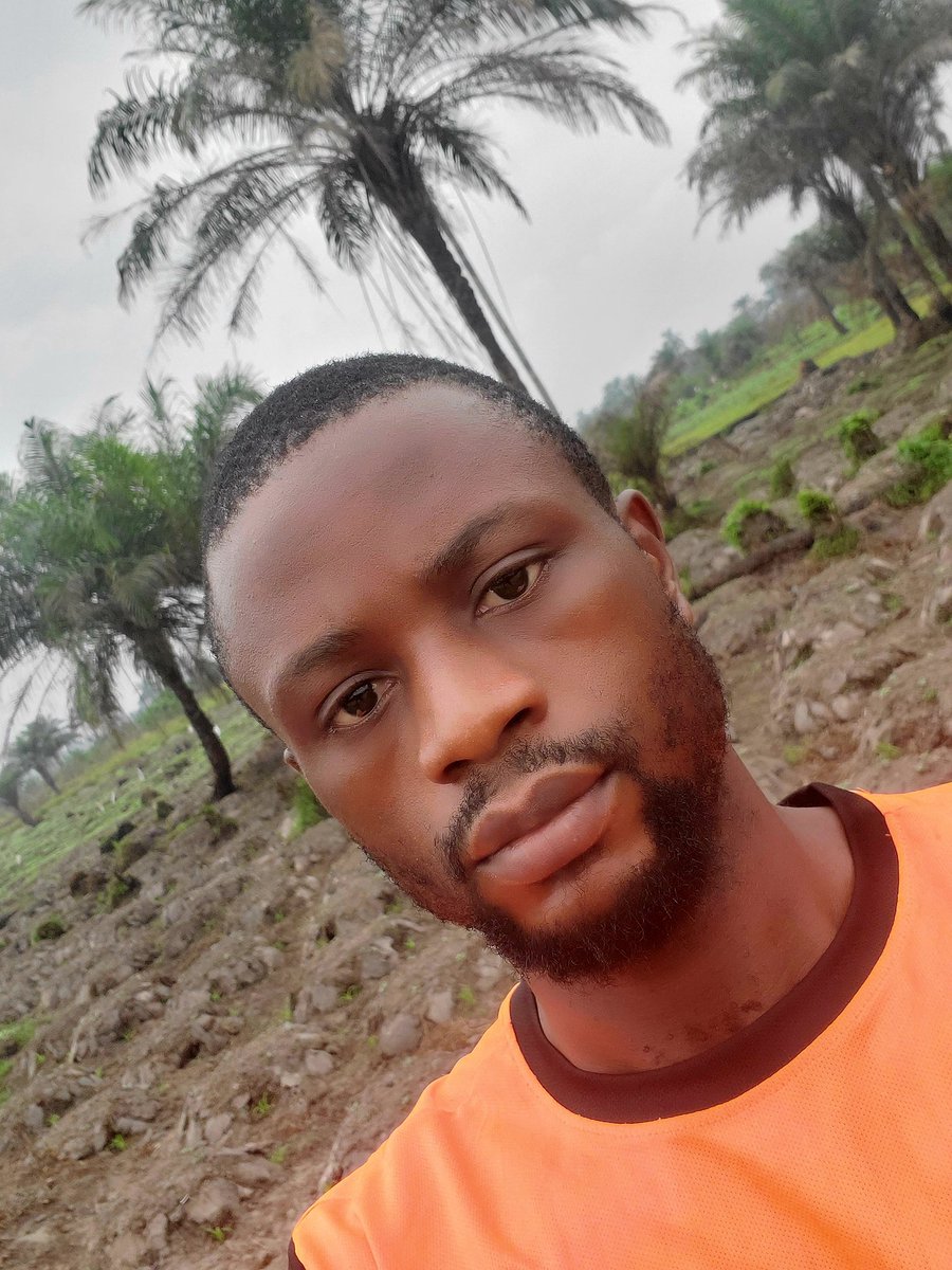 I'm cultivating 50 hectares of land this year for corn and other cash crops and I've started. I did it last year tho. God shower us your blessings this year... boom harvest we pray 🤲 🔥🔥