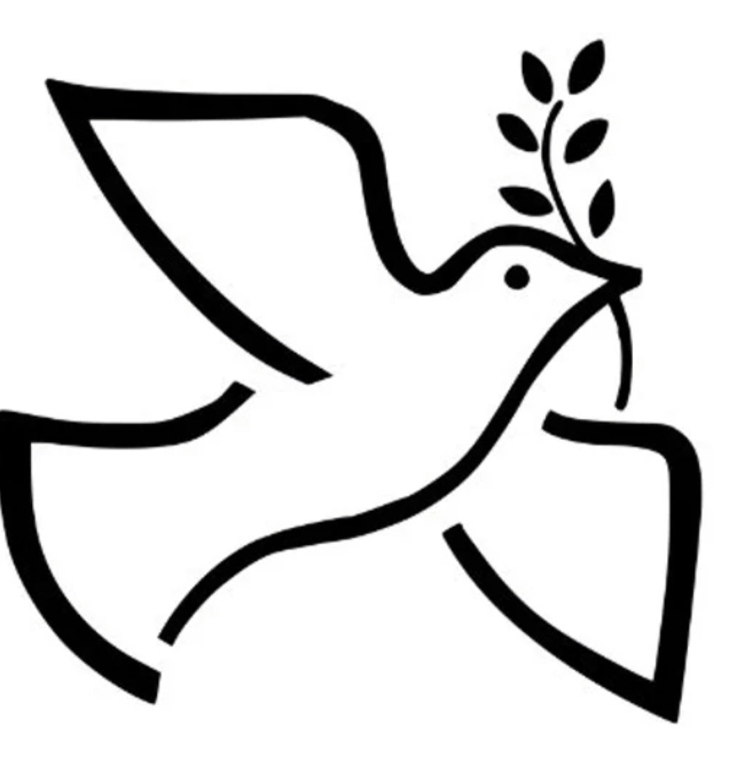 Vicente Inglada tweet media