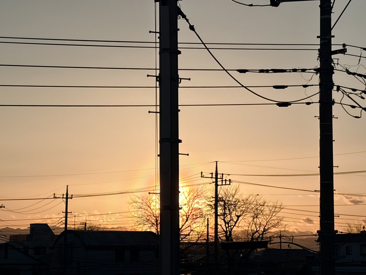 強い北風が冷たい。夕日の花粉光環。