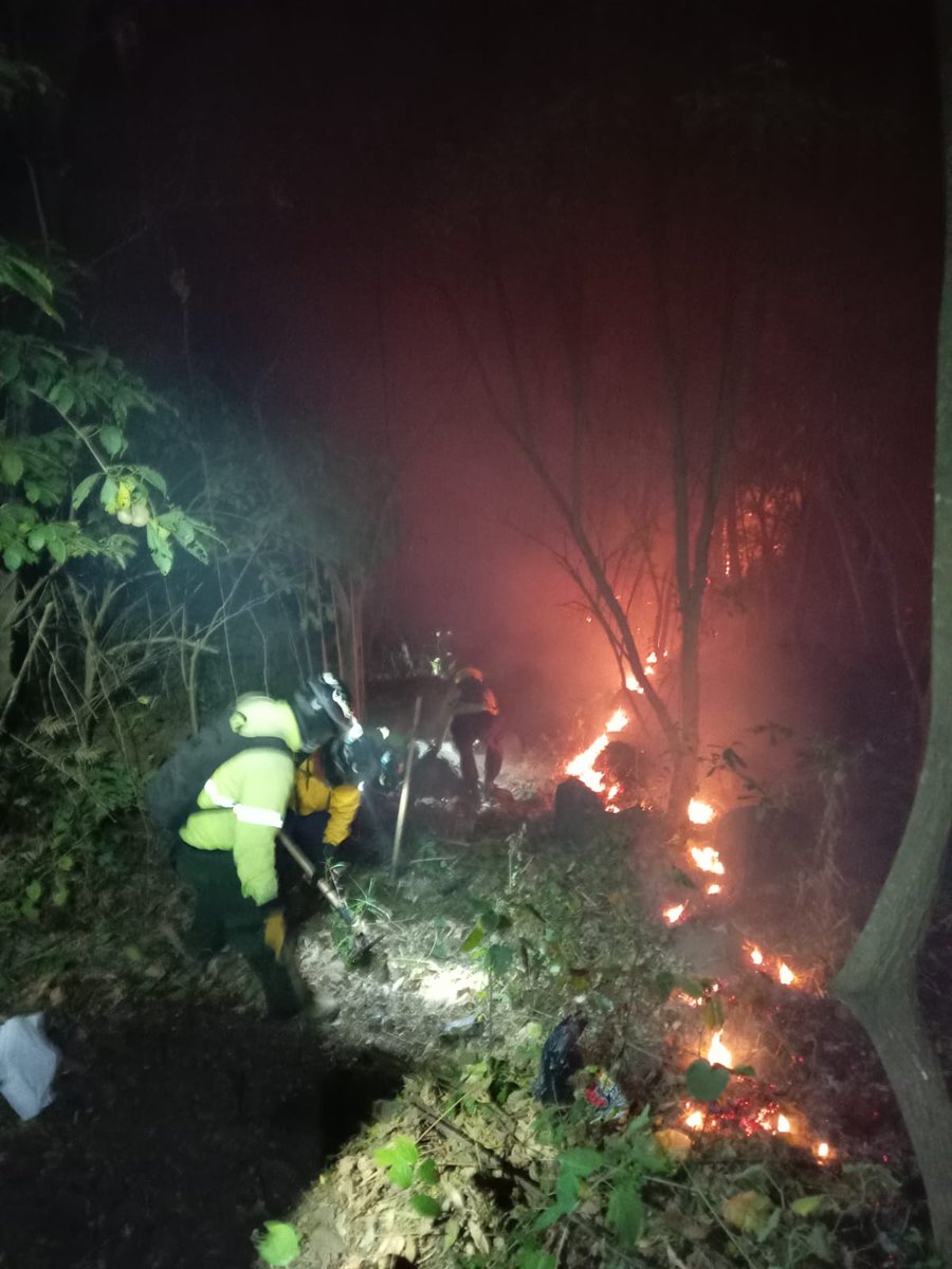 ConredGuatemala's tweet image. #SantaRosa El incendio registrado en sector Los Cabrestos, aldea San Sebastián, Pueblo Nuevo Viñas, Santa Rosa fue 100% controlado y 95% liquidado por comunitarios y la Brigada de Respuesta Inmediata (BRI).

Fotografía: Sistema CONRED.
