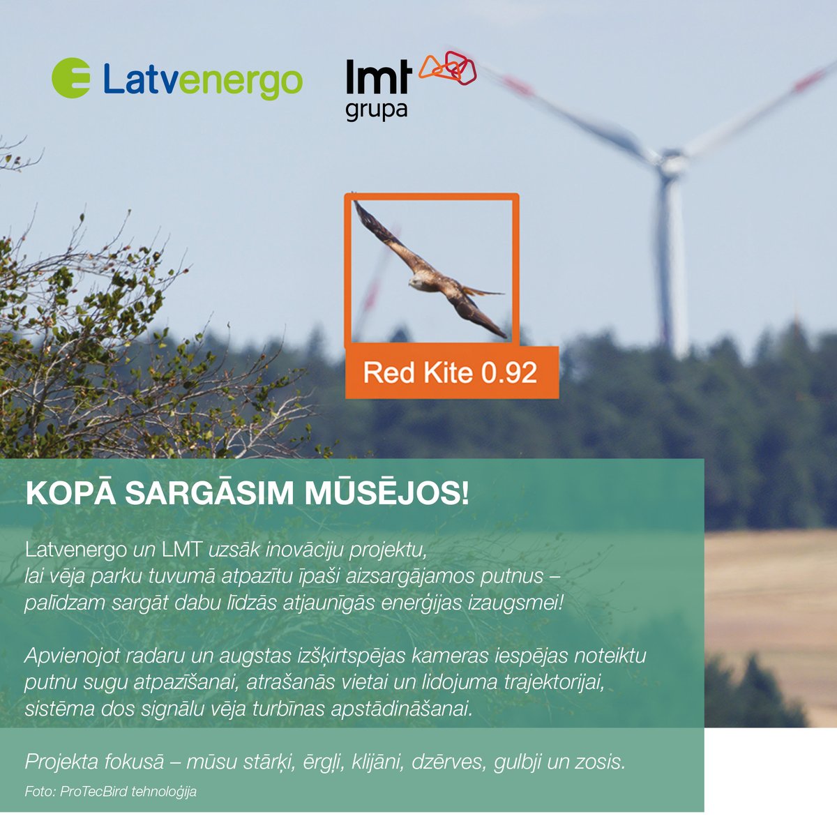 Latvenergo's tweet photo. Latvenergo un @mansLMT uzsāk pētniecības projektu 
putnu aizsardzībai: https://t.co/UnXPjF076V https://t.co/70S92EMfK9