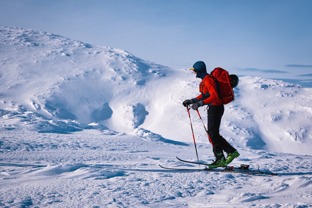 Snow Forecast.com tweet media