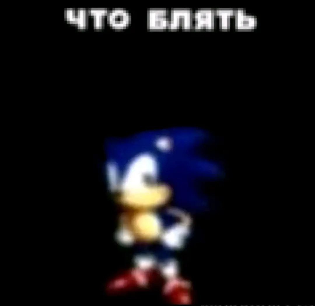 Is Pal Percy Out Yet? tweet media