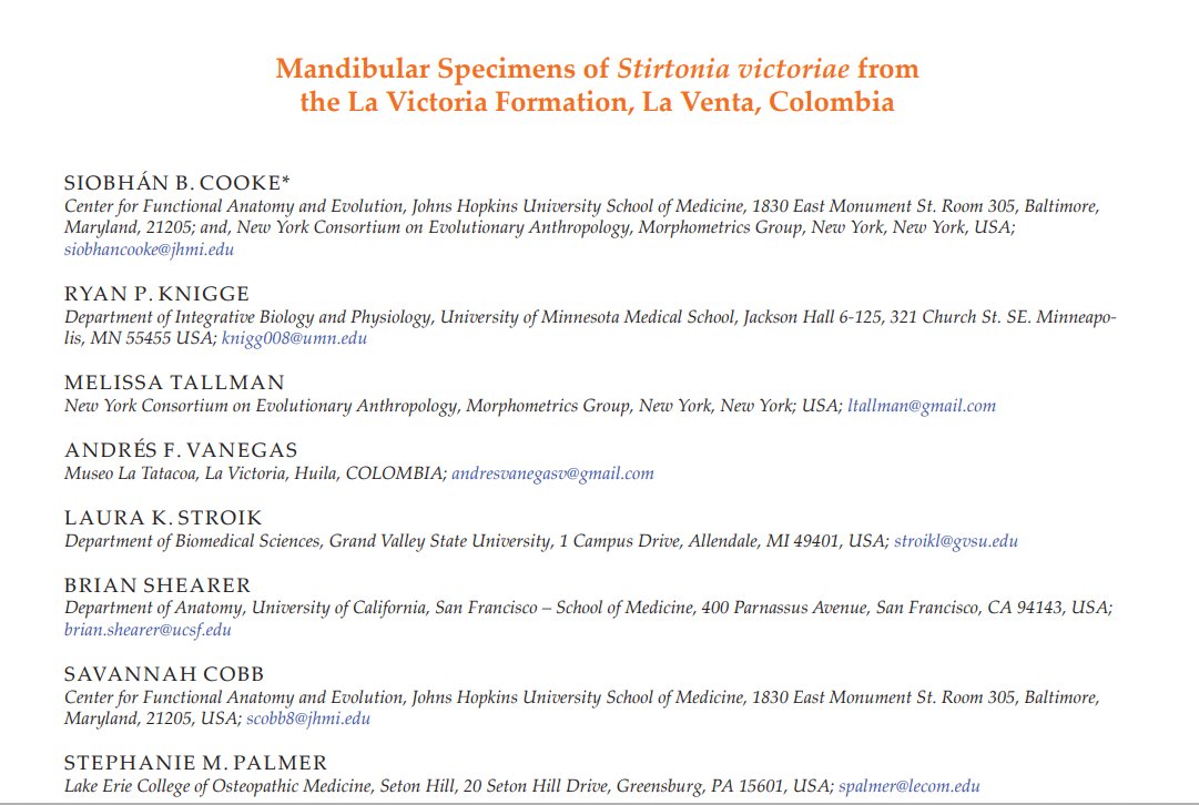 Diego Q. tweet media