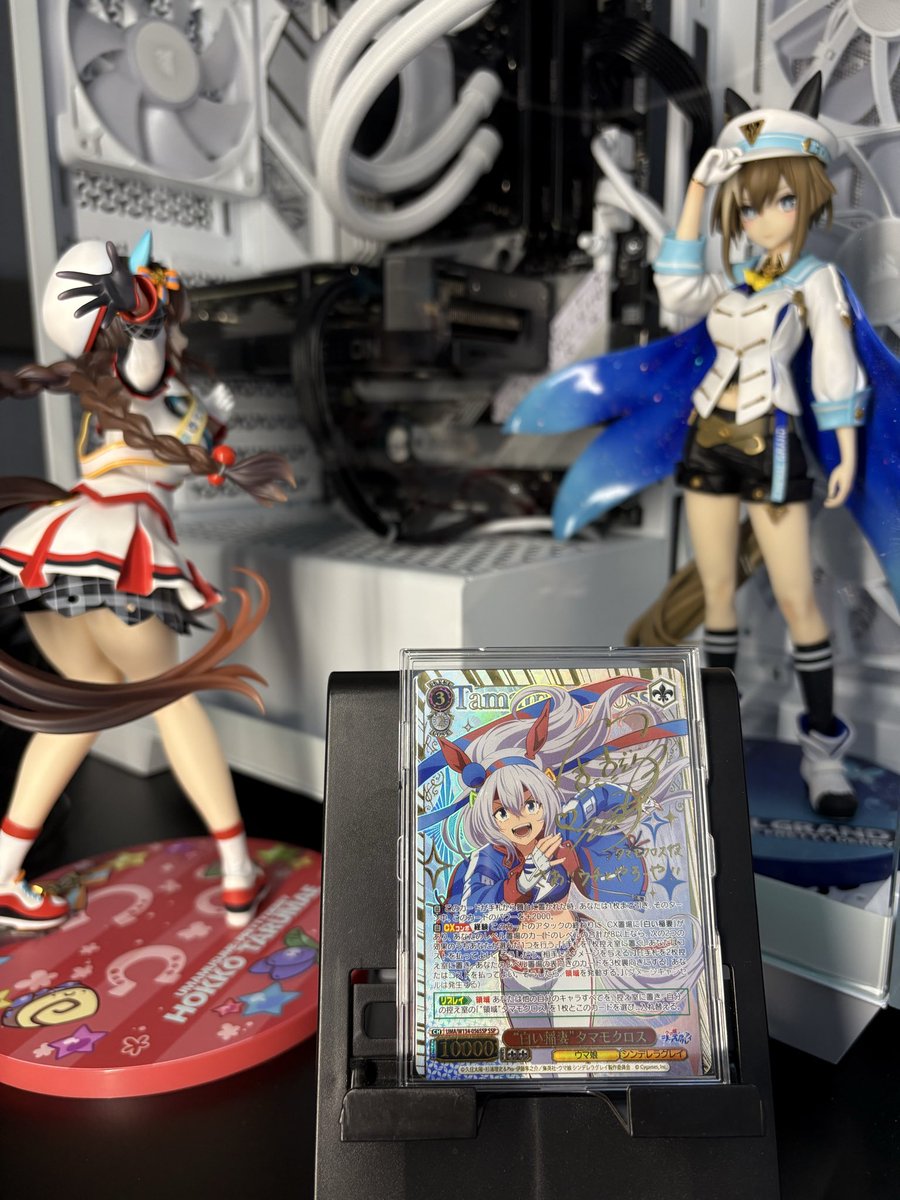 タマちゃんのカードが手に入った