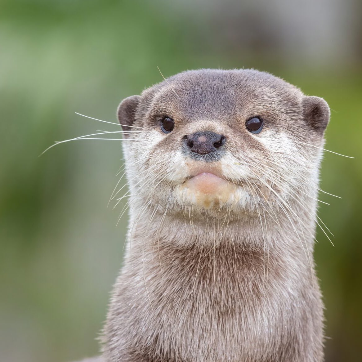 하니행뵹 tweet media