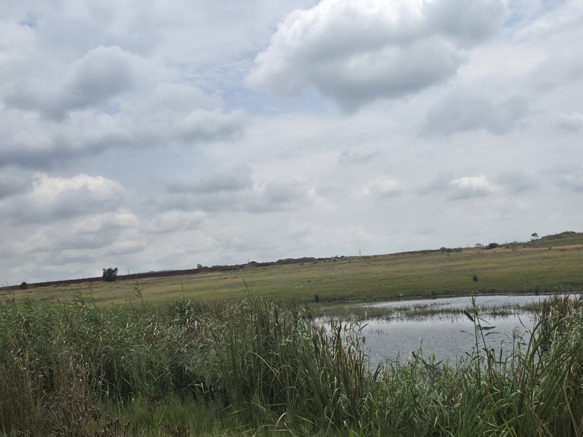 JacobMamaboloSA's tweet photo. As part of the work of the Water IGR Operations Centre, together with a team of engineers and technicians from @GPDID we visited the Spaarwater Dam in Ekurhuleni. The dam poses a danger to motorists when it overflows during rainy season. #BuildingSmartCities #TacklingG13 https://t.co/j0WuQAIVPT