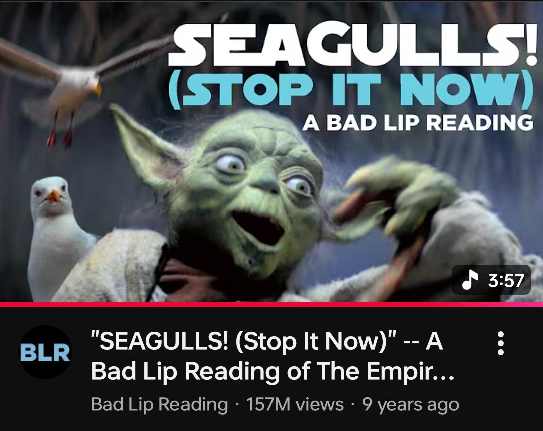 Matthew Eduardson tweet media