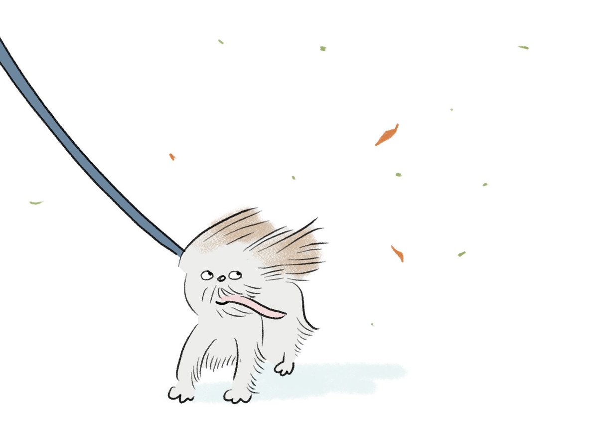 衿沢世衣子 tweet media