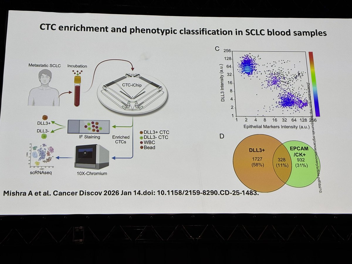 Jo Evans tweet media