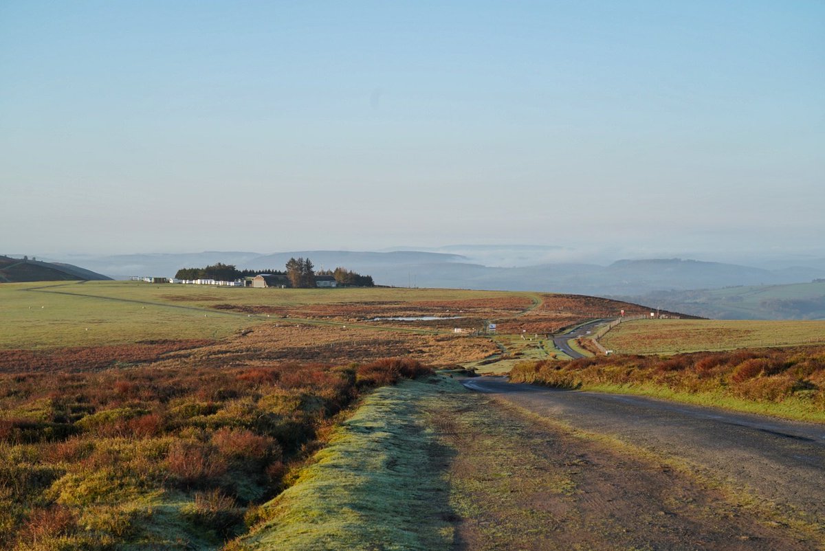 Matthew Halstead tweet media