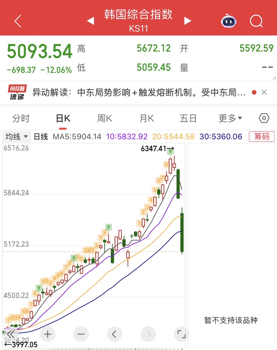 迷你小猫🐱 tweet media