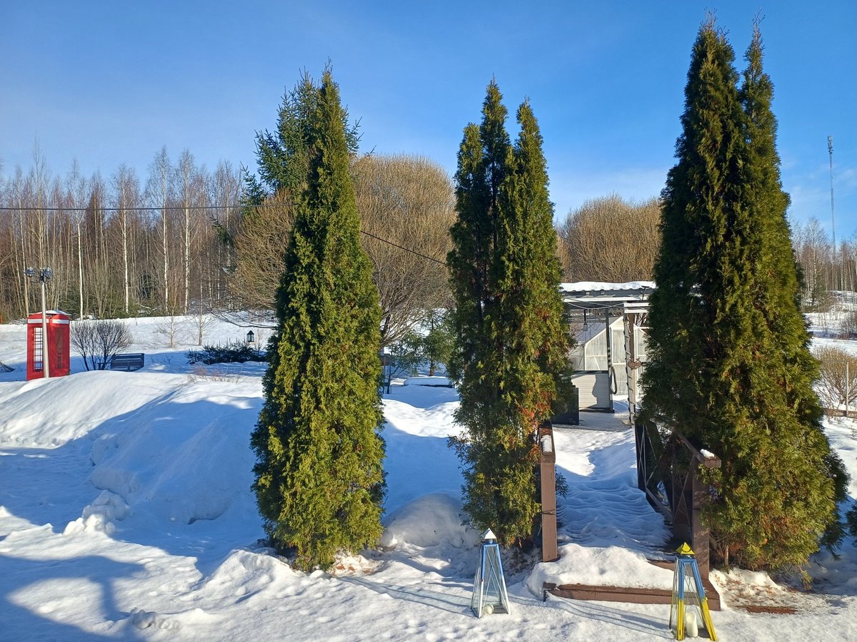🇫🇮 Arto af Elinä ⭐️ tweet media