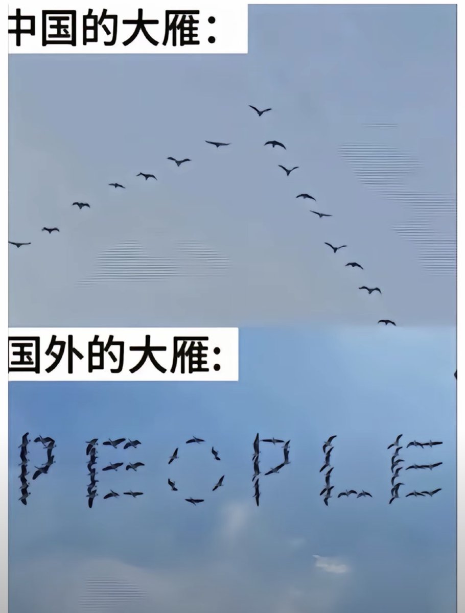 youy1qwq's tweet photo. https://t.co/xpeWSmxytG