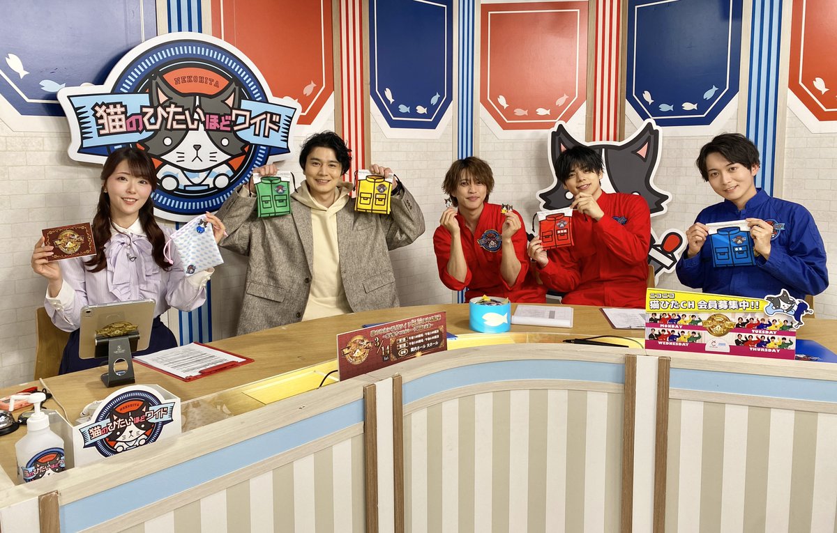 猫のひたいほどワイド (@nekonohitai_tvk) / Posts / X