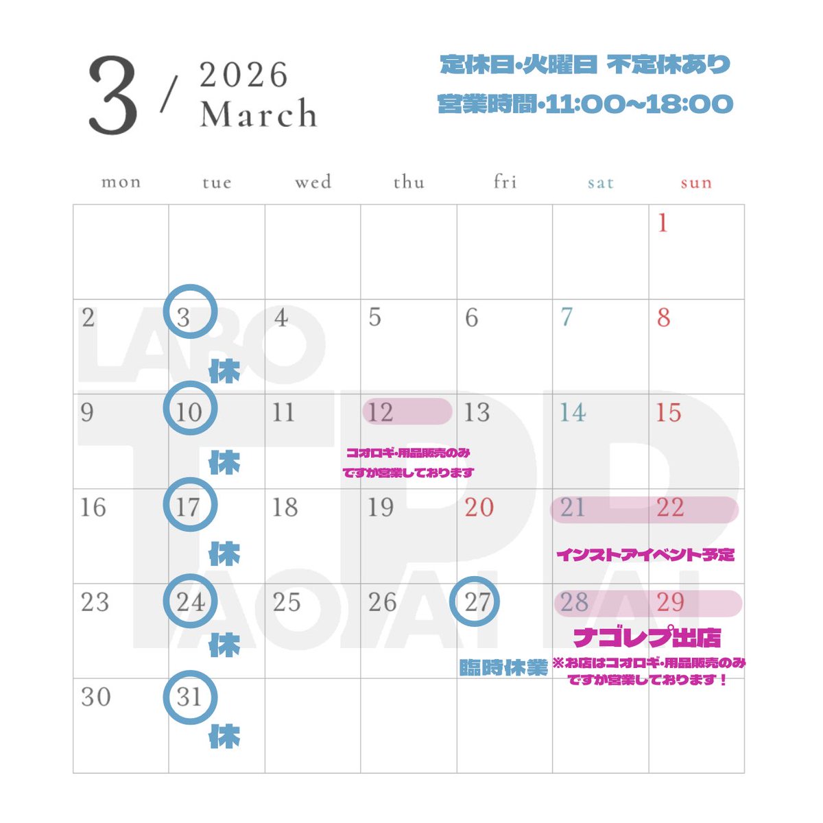 らぼ・桃白白🦎 tweet media