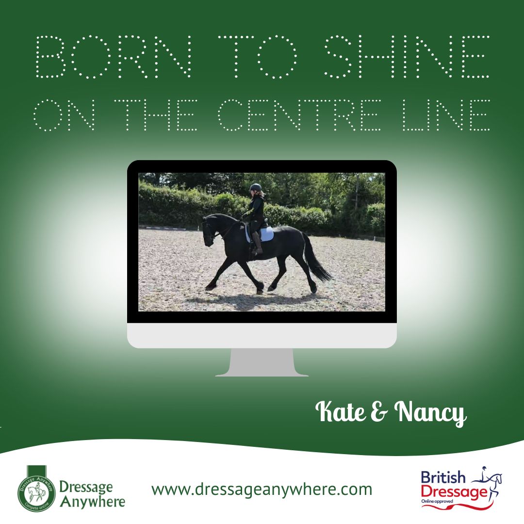 Dressage Anywhere tweet media