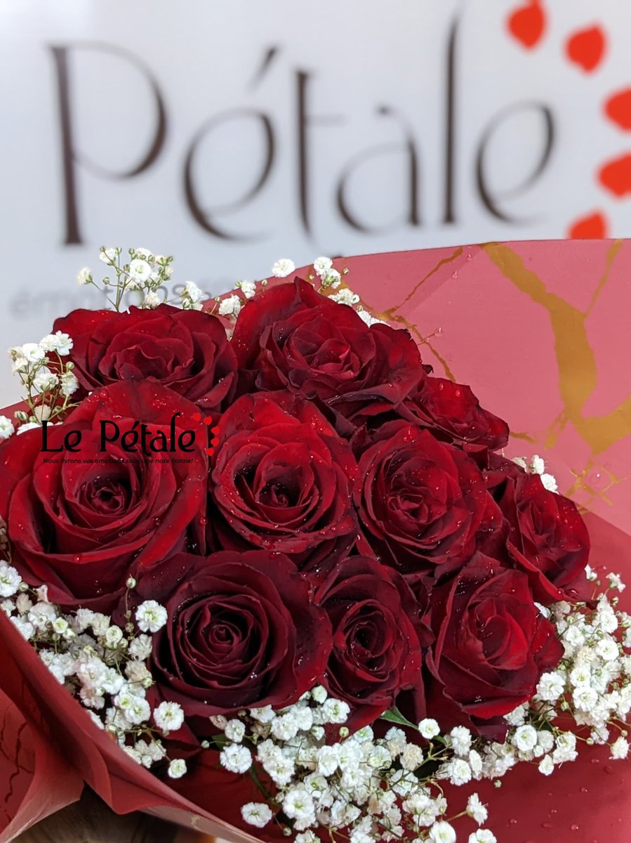 Le pétale🌹 tweet media