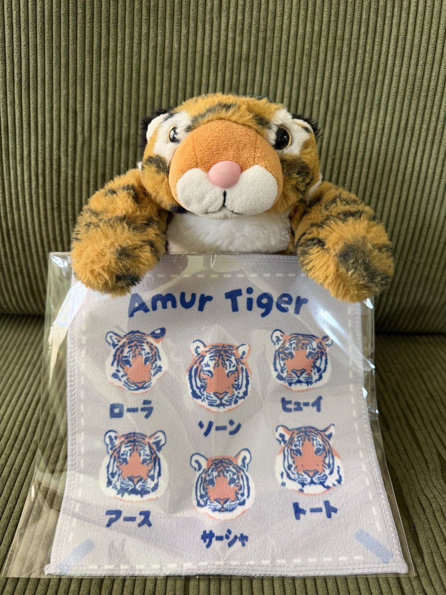宝物がひとつ増えました❣️☺️
ありがとーーー💕