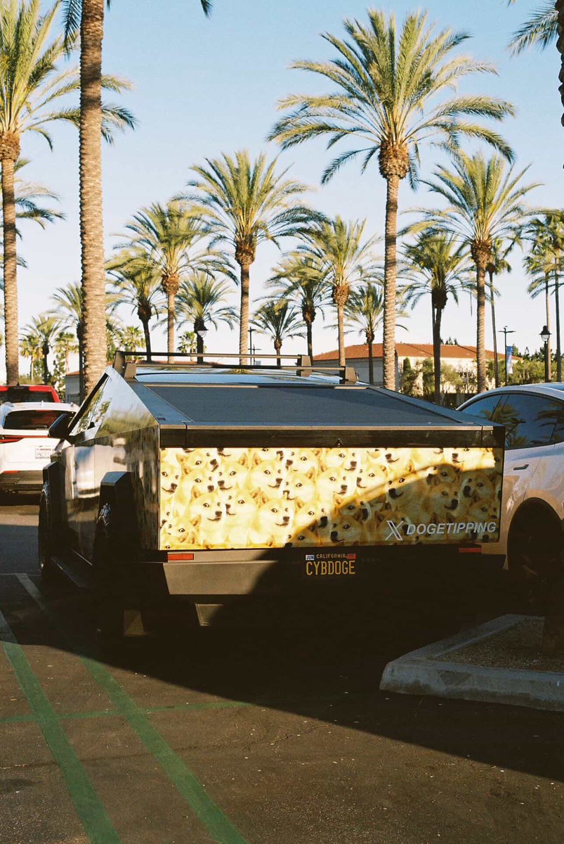 cybdoge's tweet photo. I love @cybertruck 
I love @Dogecoin https://t.co/l4mNZlmj89