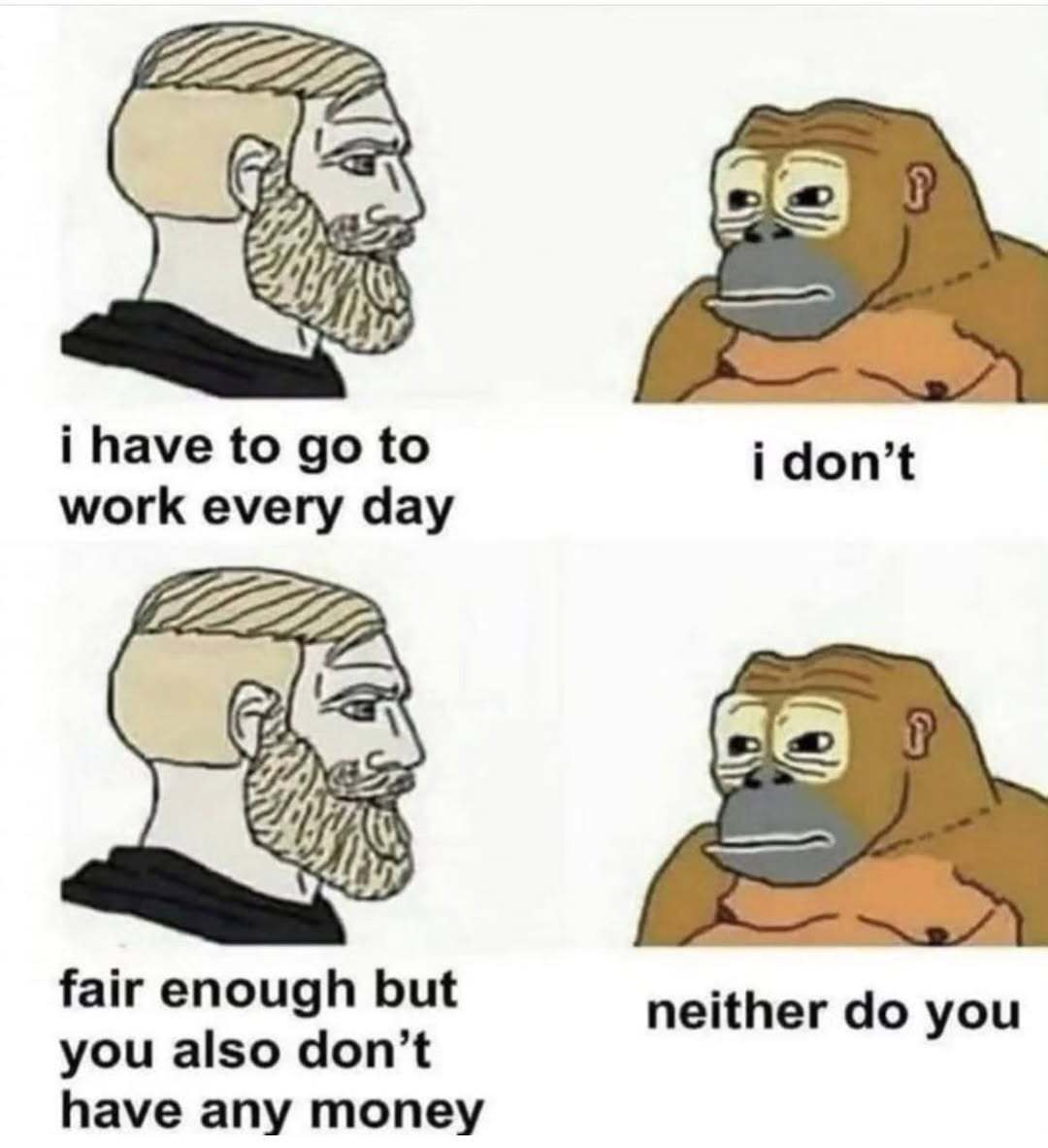 Crypto Hub tweet media