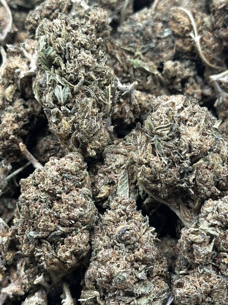 Lilpop114893's tweet image. Three different flavors in hml #atlplug #atlantaplug #gasin #atlga #atlantags #atlanta