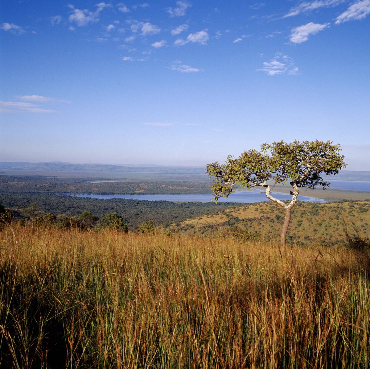Venture Uganda tweet media