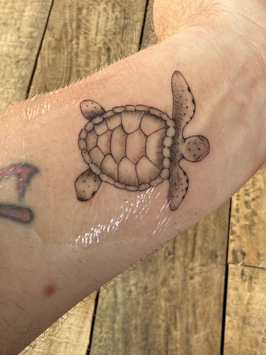 jamilC_94's tweet photo. New tattoo 🥹 and I absolutely love it 🥰 #tattoo #turtle #srilanka https://t.co/0IPUR8E2rj