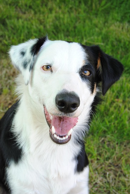 Tara Davidson tweet media