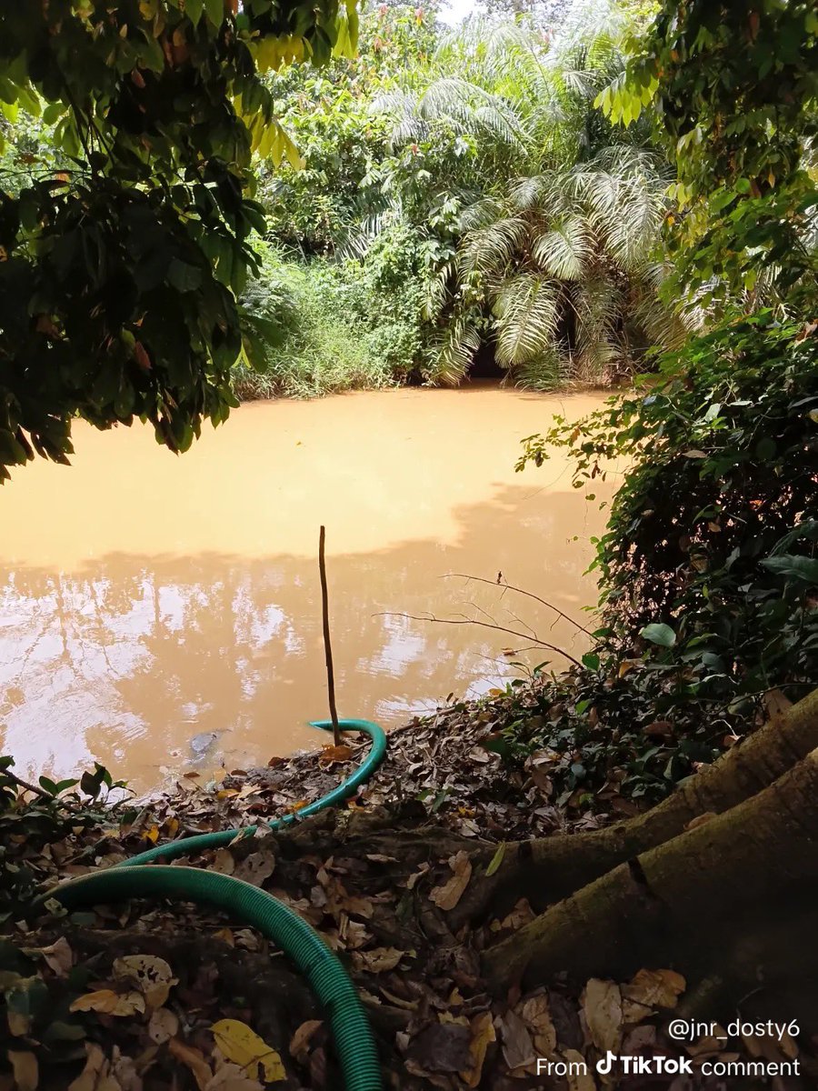 Pazienza✨#StopGalamseyNow tweet media