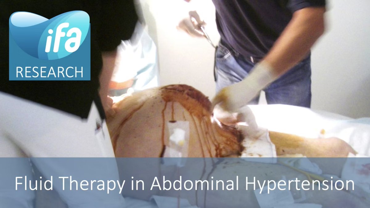 Fluid Academy tweet media