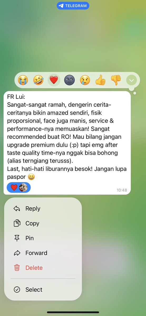 itsluisa tweet media