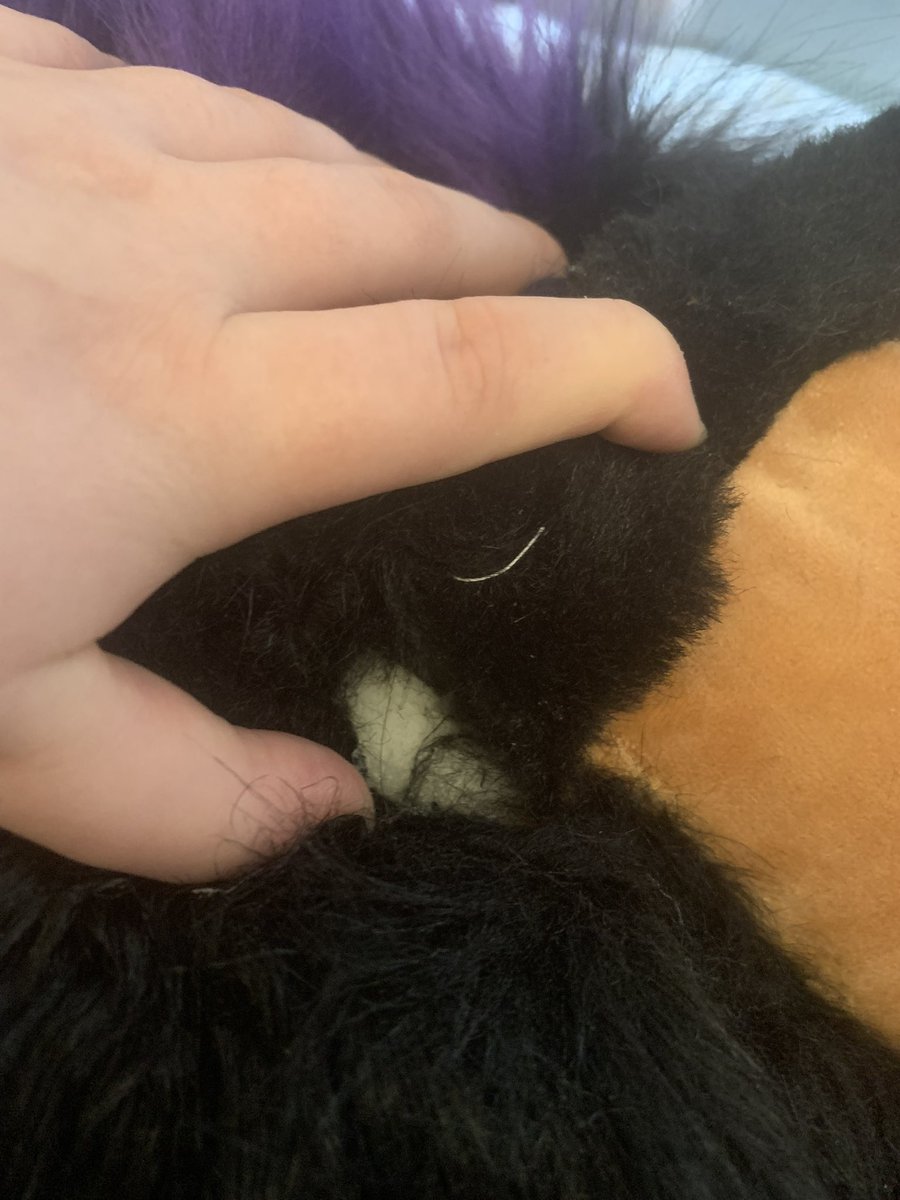 AuraCabbit The Squeakquel tweet media