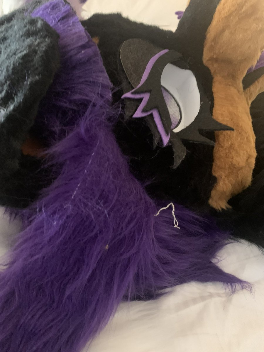 AuraCabbit The Squeakquel tweet media