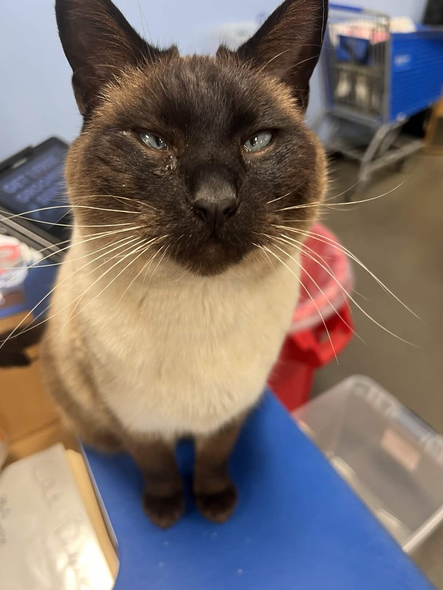 I've hired my fellow Co-worker to stare at you what will you do? 🐦‍⬛