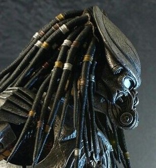 itz_rande's tweet photo. Predator.                               ??? https://t.co/vOd6ETAvSP