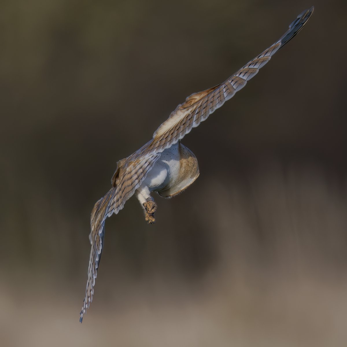 Brian Martin tweet media