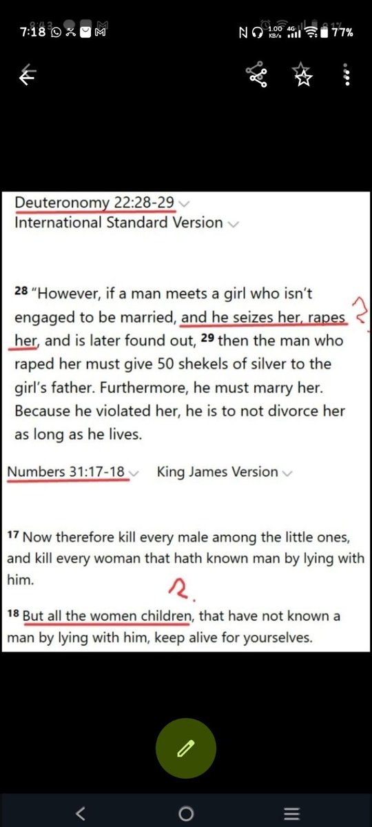 camel rider tweet media