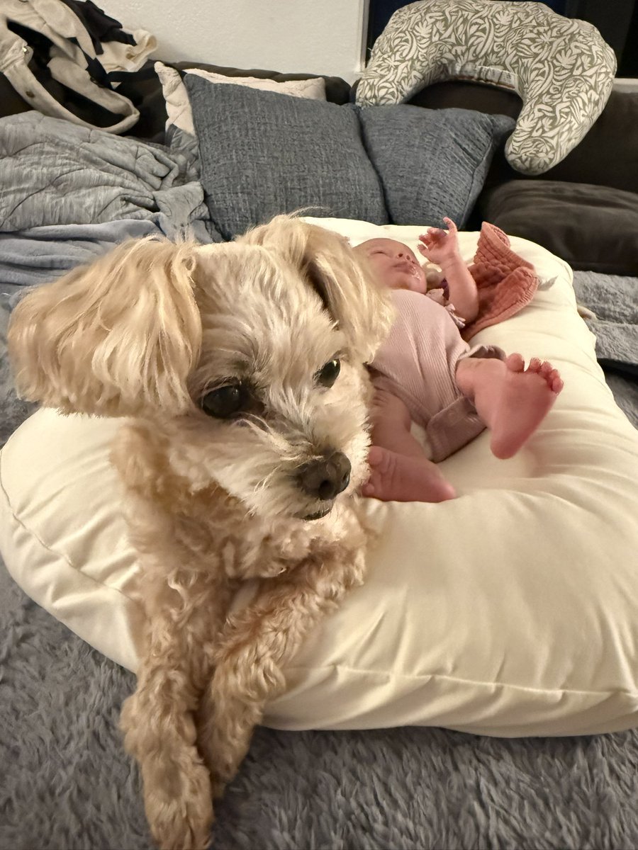 Yuzu🇯🇵🇺🇸🏄‍♀️ (@yuzupiiing) / Posts / X