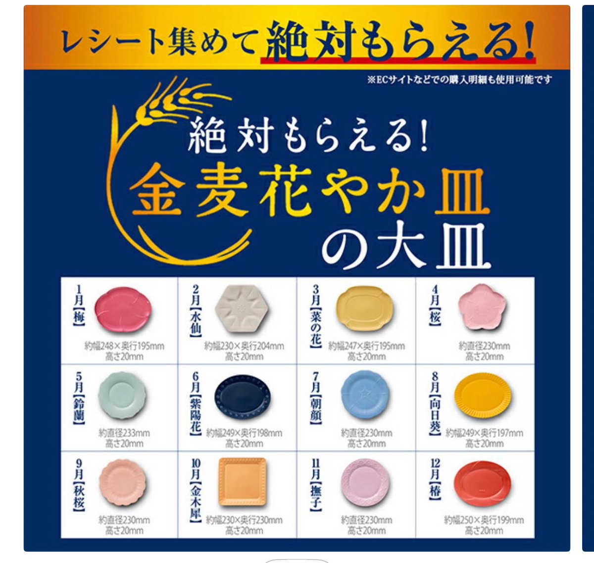 金麦の皿、普通に可愛くて愛用しているんですけど、このたび大皿が登場 